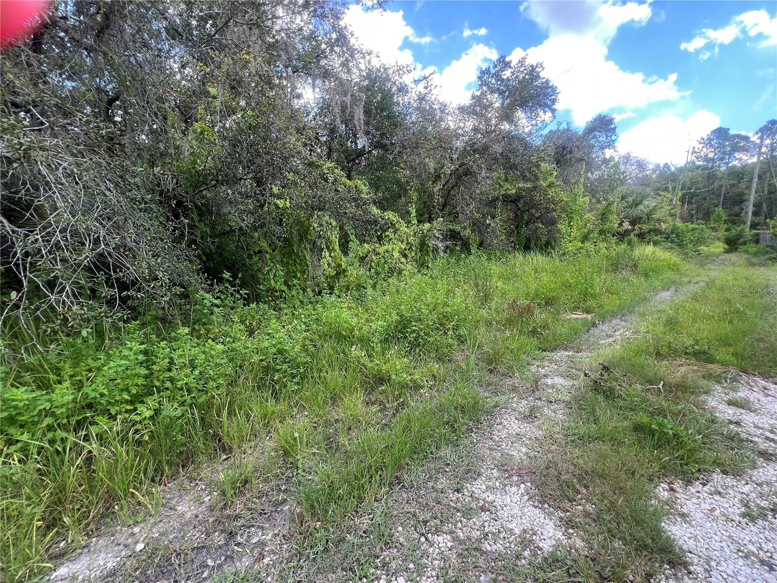 0 LADD AVE, NEW PORT RICHEY, FL, 34654