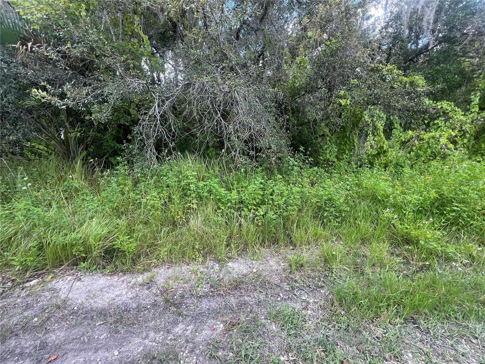 0 LADD AVE, NEW PORT RICHEY, FL, 34654