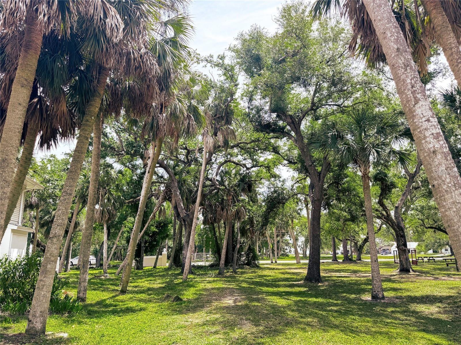 605 ROSE APPLE CIR, PORT CHARLOTTE, FL, 33954