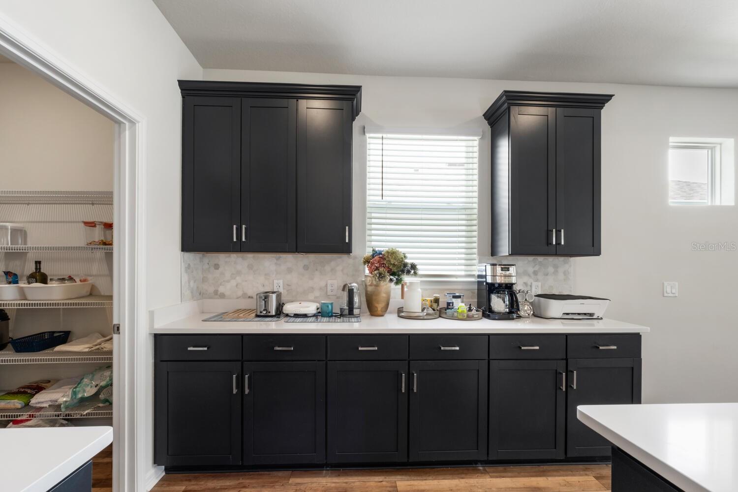 13673 FRESH IVY ST, WINTER GARDEN, FL, 34787