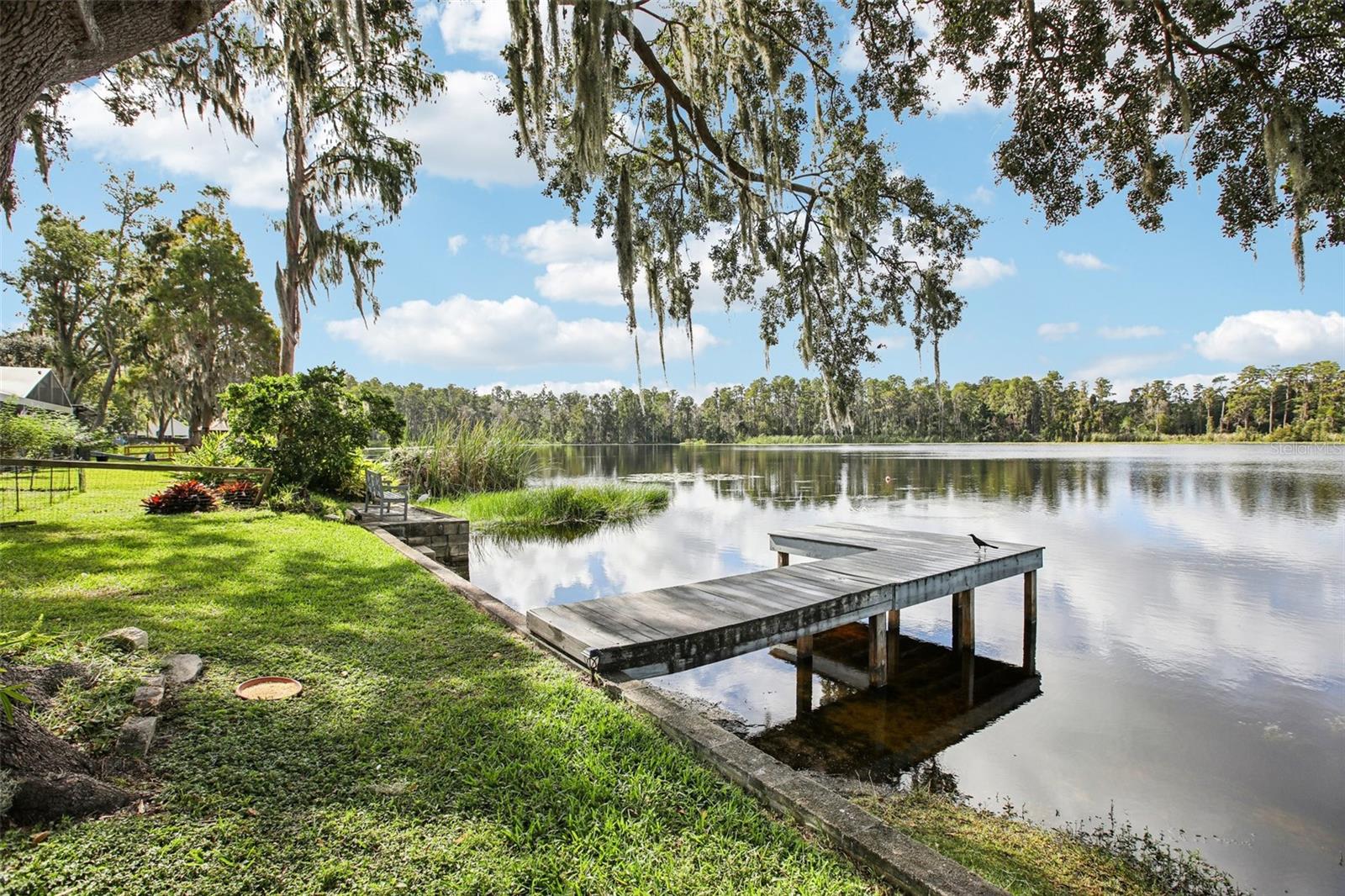 19254 BLOUNT RD, LUTZ, FL, 33558