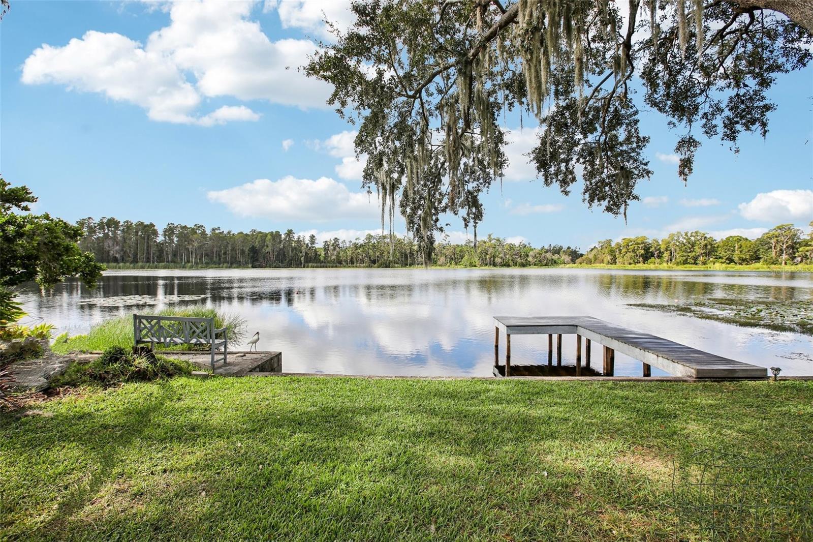 19254 BLOUNT RD, LUTZ, FL, 33558