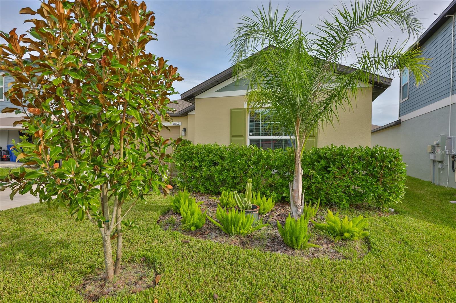 35069 BRACKETT BND, ZEPHYRHILLS, FL, 33541