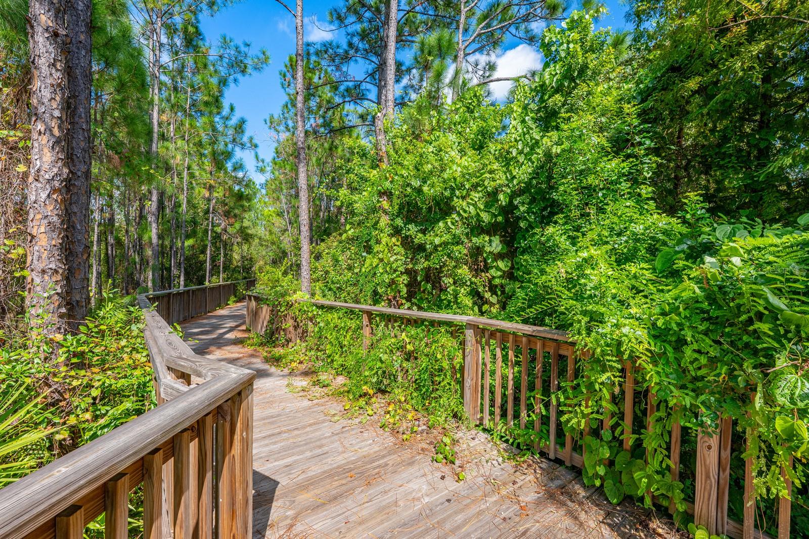 8282 NEMOURS PKWY, ORLANDO, FL, 32827