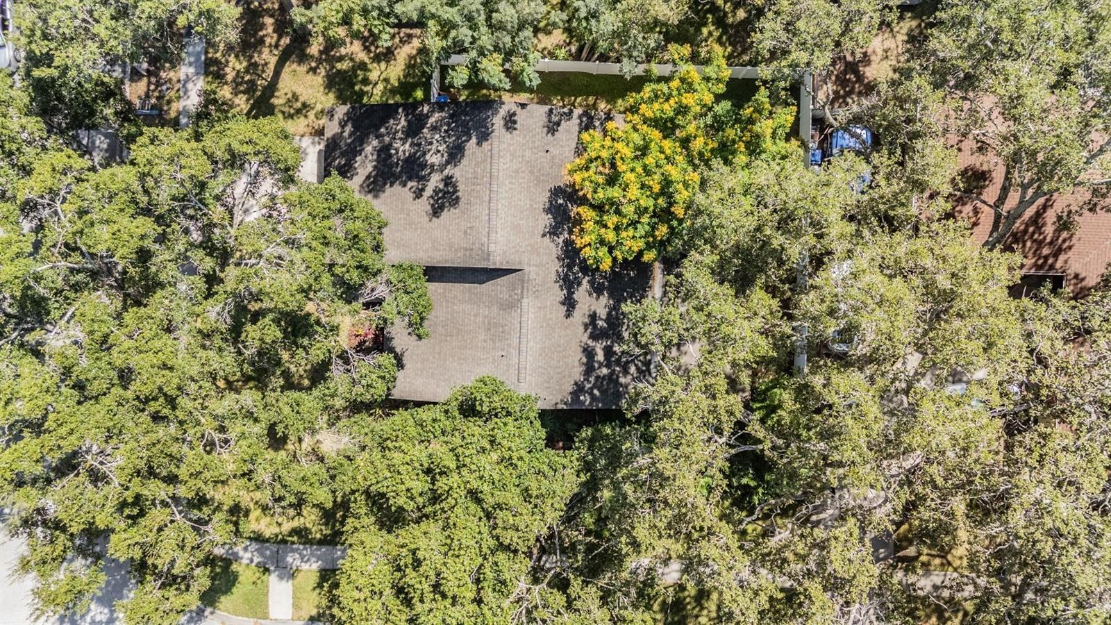 2326 FORREST CREST CIR, LUTZ, FL, 33549