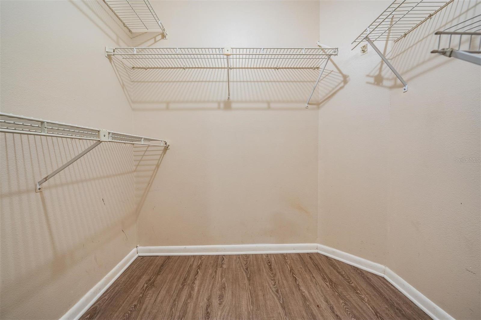 2326 FORREST CREST CIR, LUTZ, FL, 33549