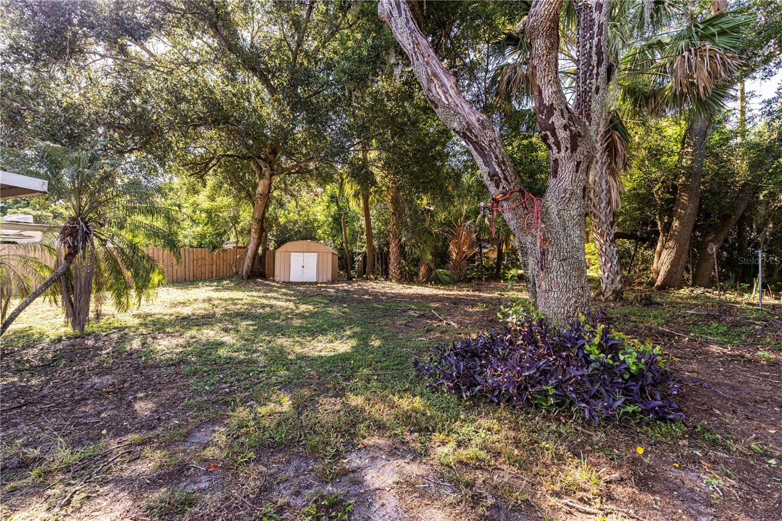 2814 WESTLAND RD, MOUNT DORA, FL, 32757