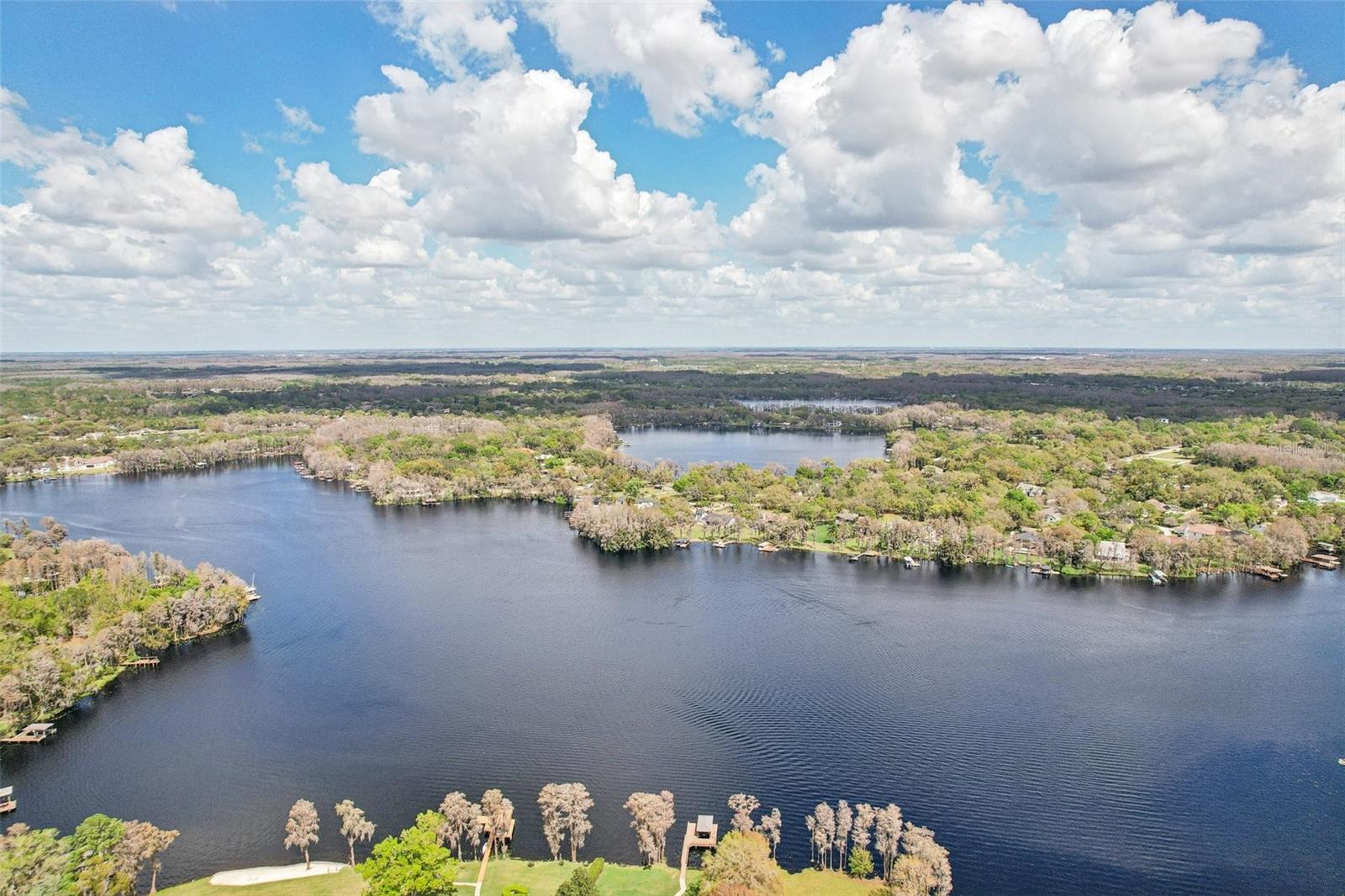7908 FOXCATCHER CT, ODESSA, FL, 33556