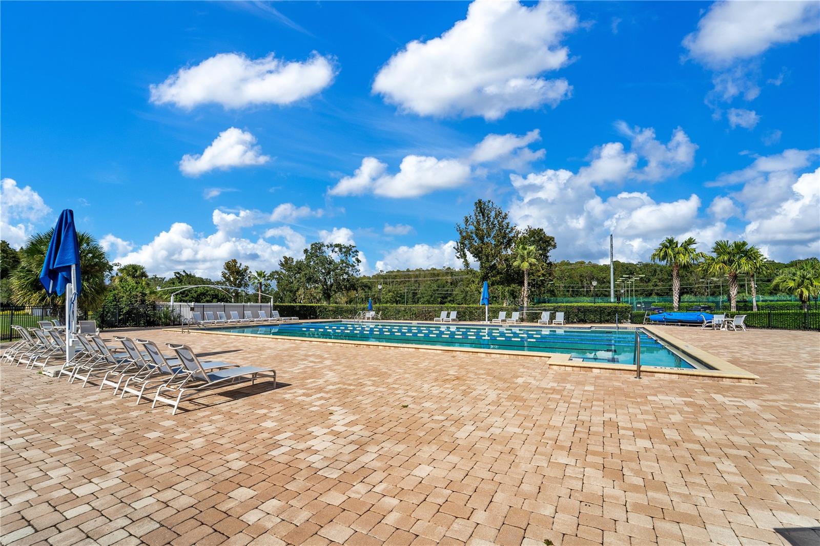 5157 STERLING MANOR DR, TAMPA, FL, 33647