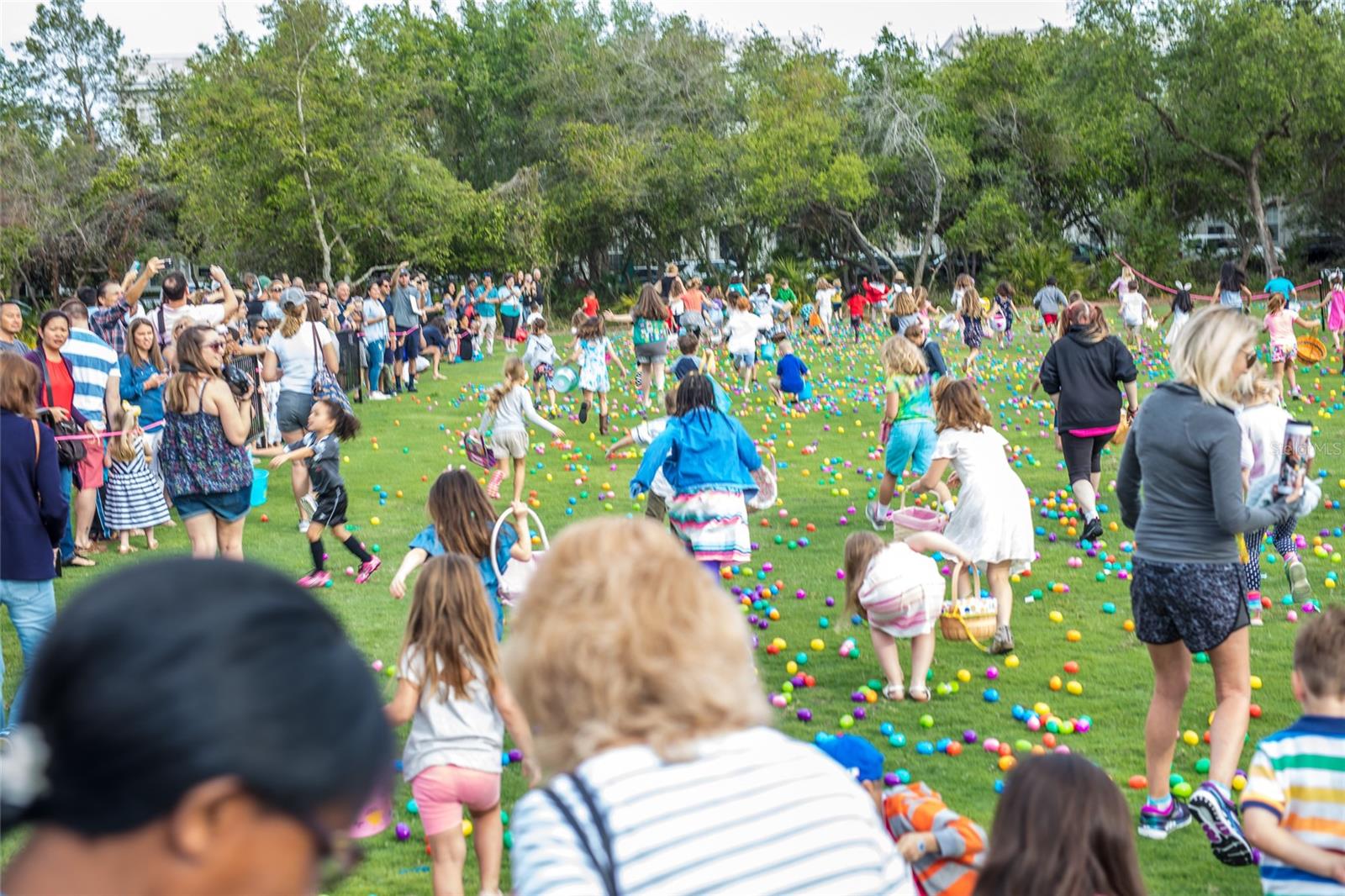 1135 MOSAIC DR, CELEBRATION, FL, 34747