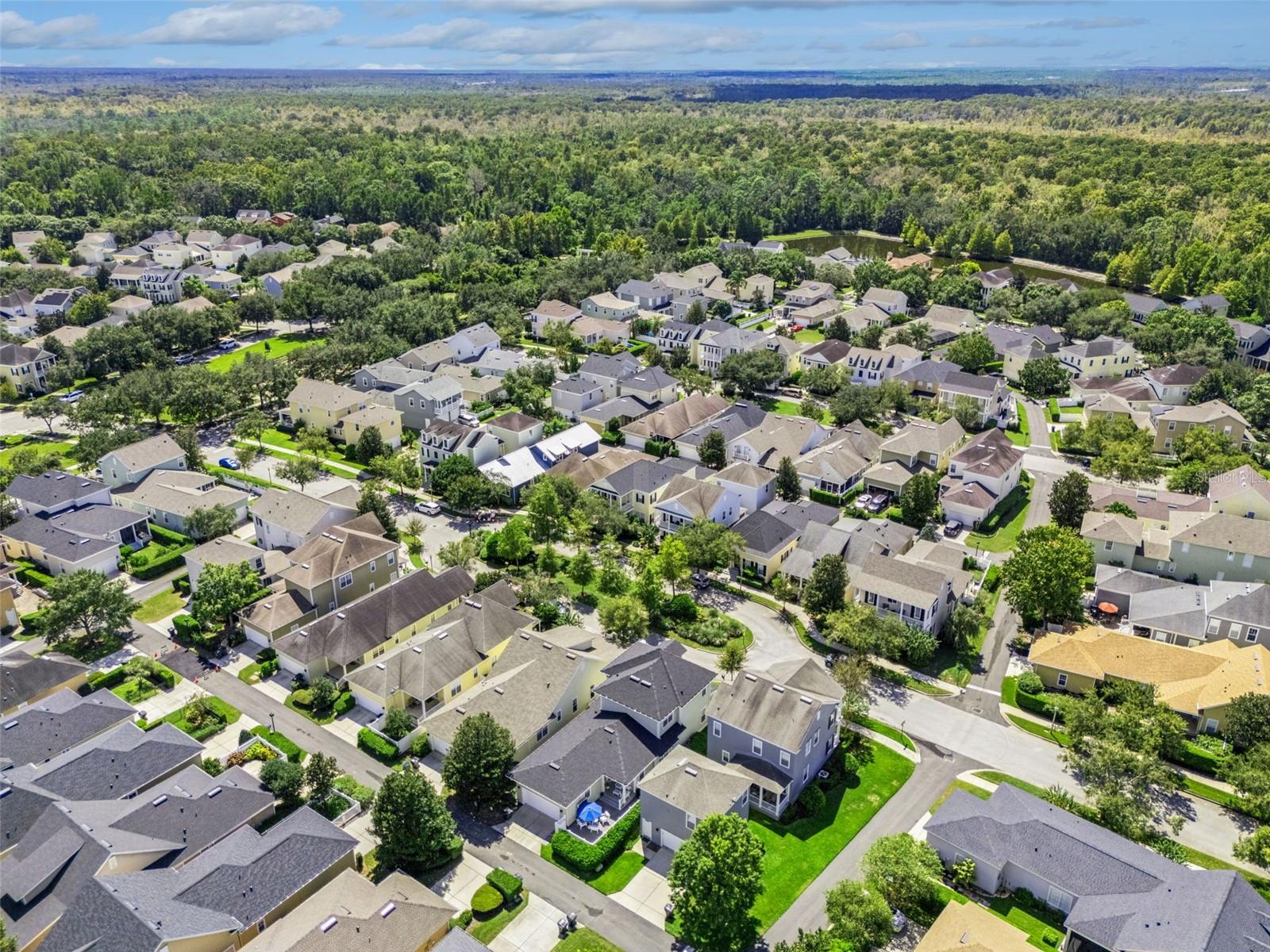 1135 MOSAIC DR, CELEBRATION, FL, 34747