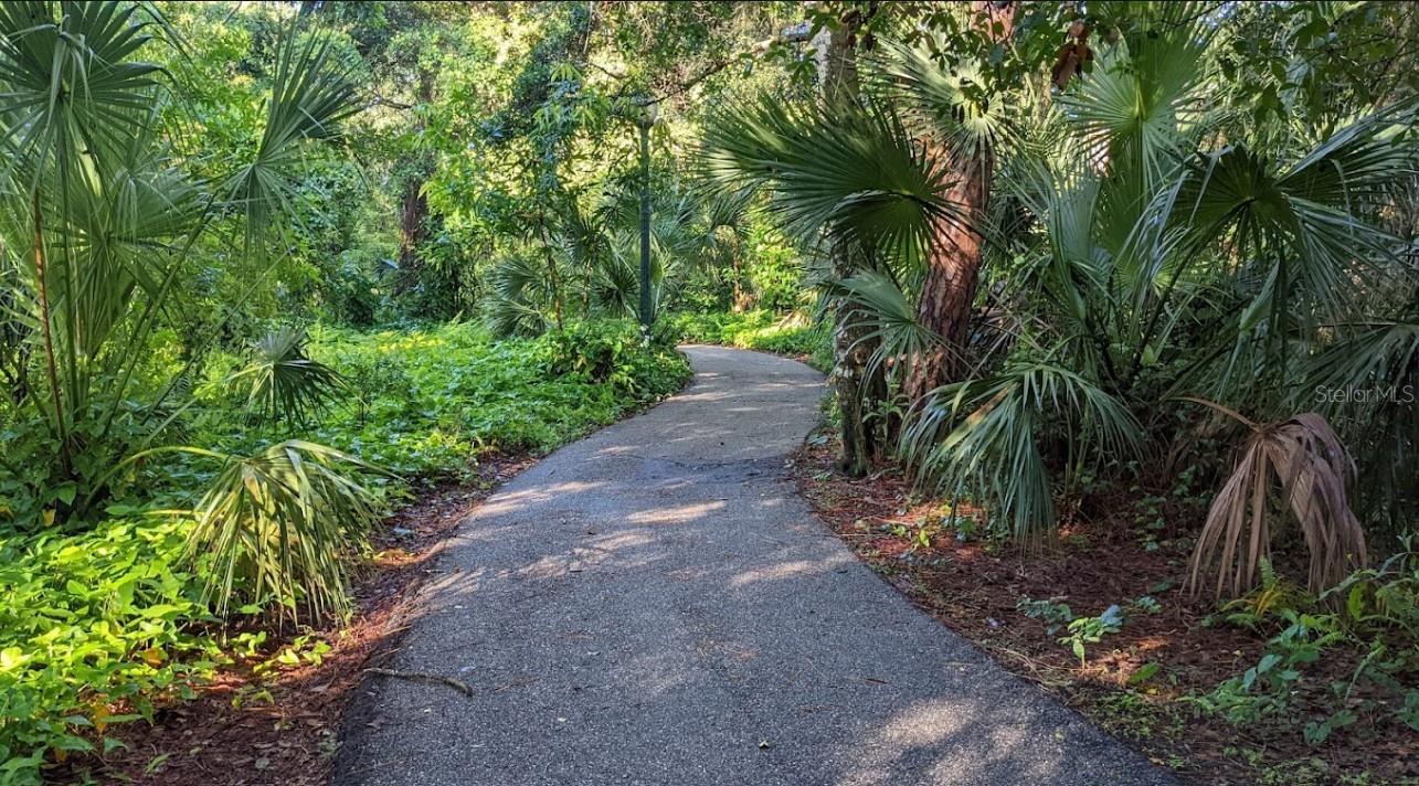 2906 ARLINGTON ST, SARASOTA, FL, 34239