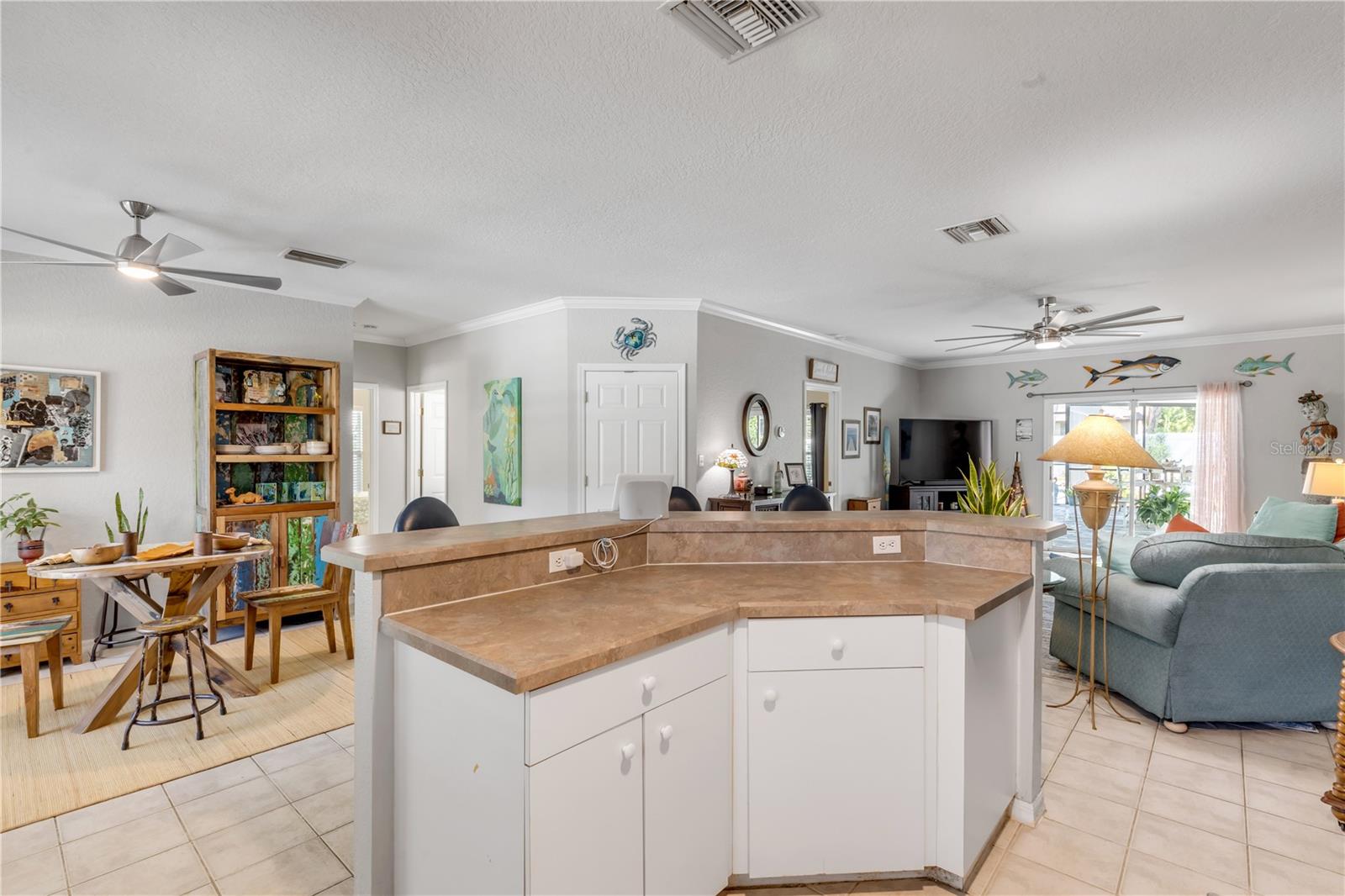 3507 SAXON DR, NEW SMYRNA BEACH, FL, 32169