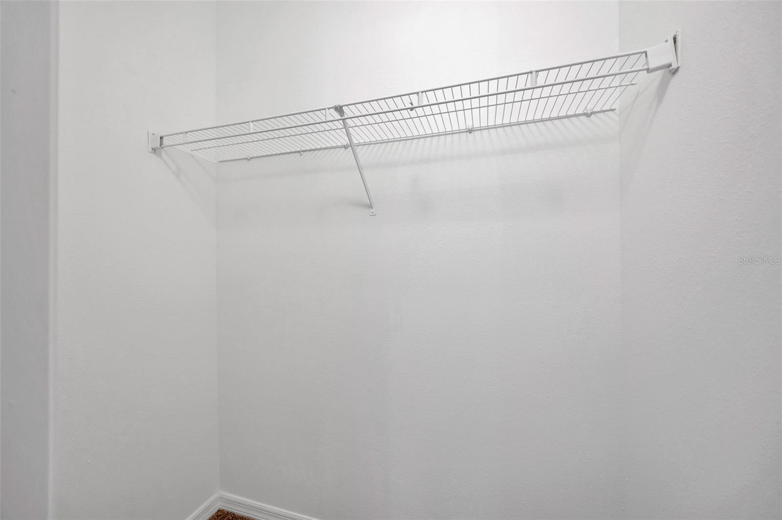 5809 FISHHAWK RIDGE DR, LITHIA, FL, 33547