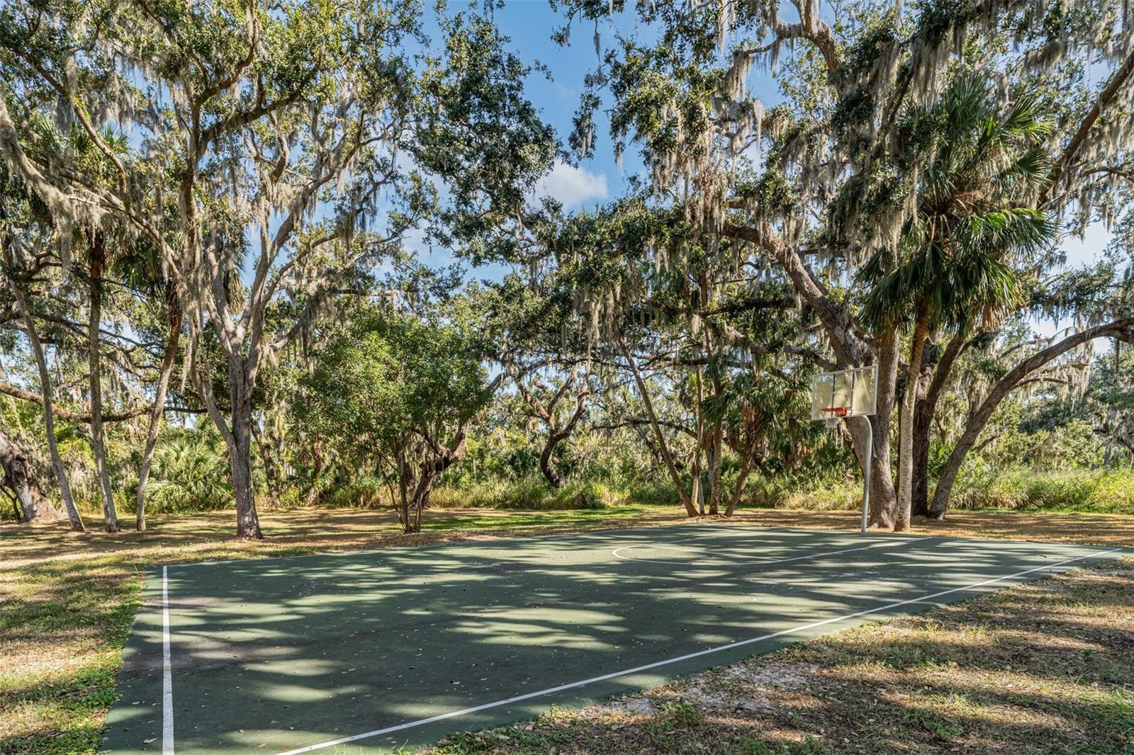 6108 114TH AVE E, PARRISH, FL, 34219