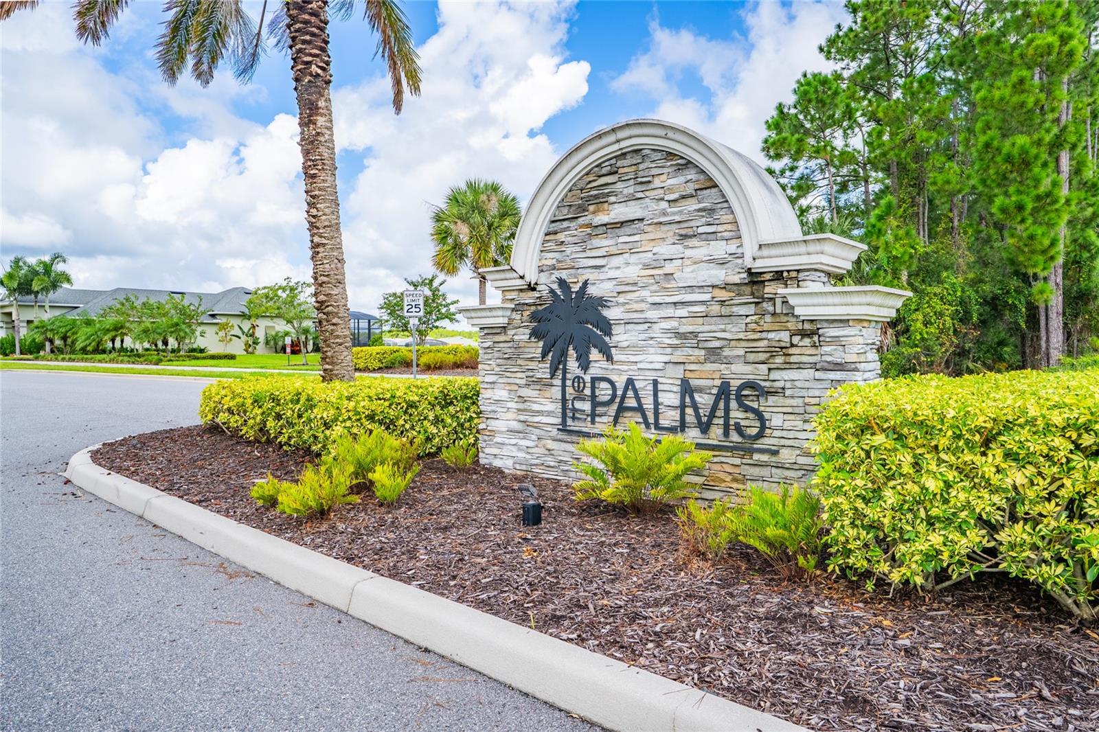 347 VENETIAN PALMS BLVD, NEW SMYRNA BEACH, FL, 32168