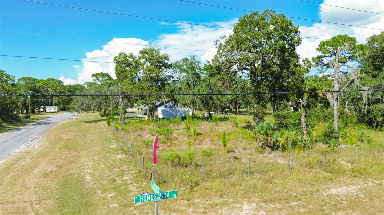 7317 W HOMOSASSA TRL, HOMOSASSA, FL, 34448