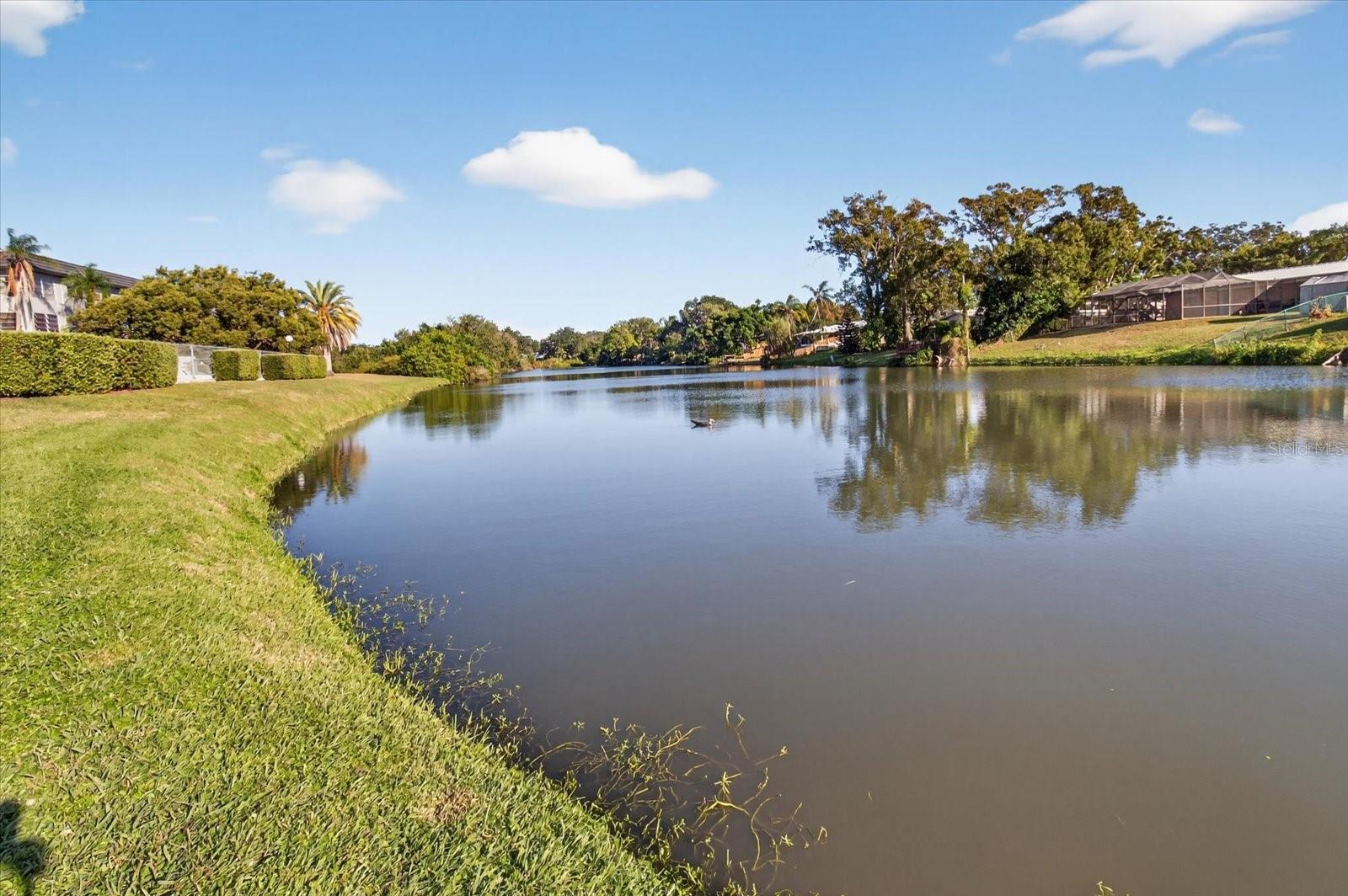 1301 S HERCULES AVE #22, CLEARWATER, FL, 33764