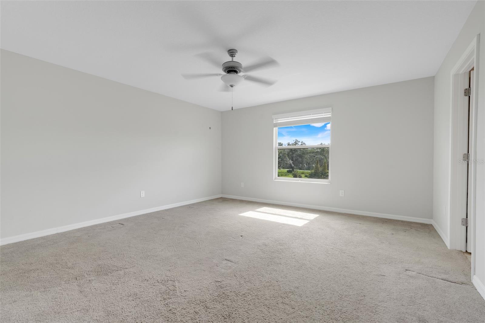 4250 SALT SPRINGS LN, LAKELAND, FL, 33811