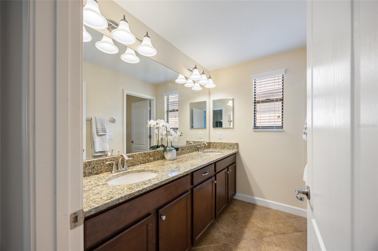 19421 PADDOCK VIEW DR, TAMPA, FL, 33647