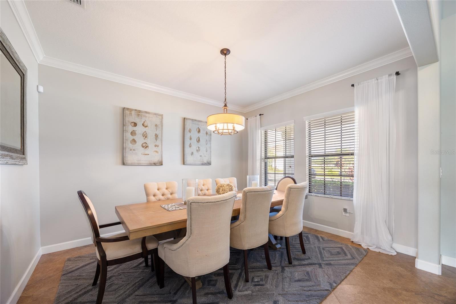 19421 PADDOCK VIEW DR, TAMPA, FL, 33647