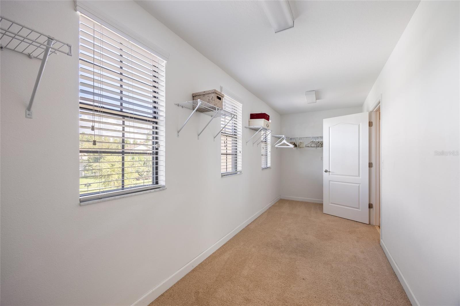 19421 PADDOCK VIEW DR, TAMPA, FL, 33647