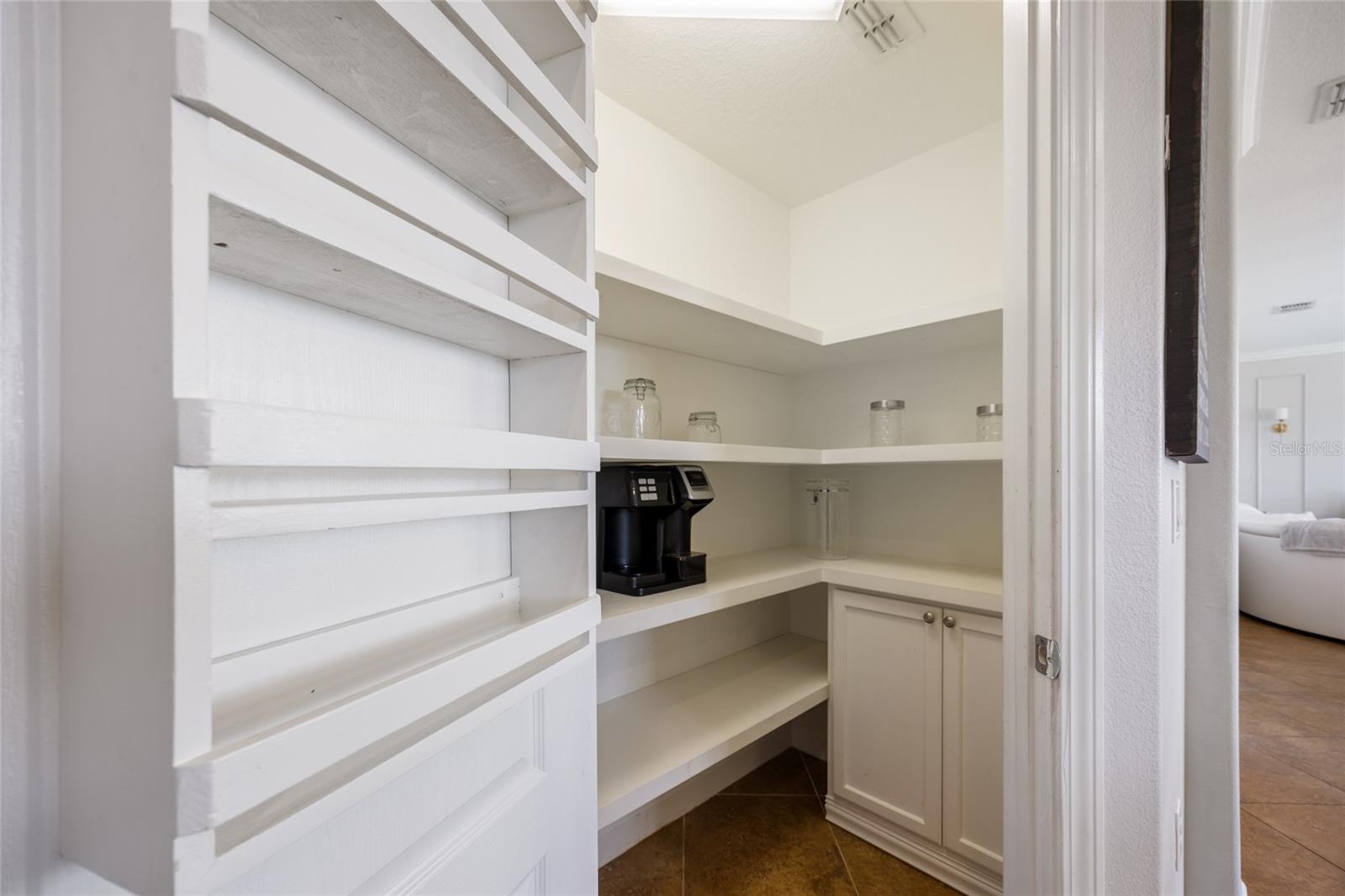 19421 PADDOCK VIEW DR, TAMPA, FL, 33647