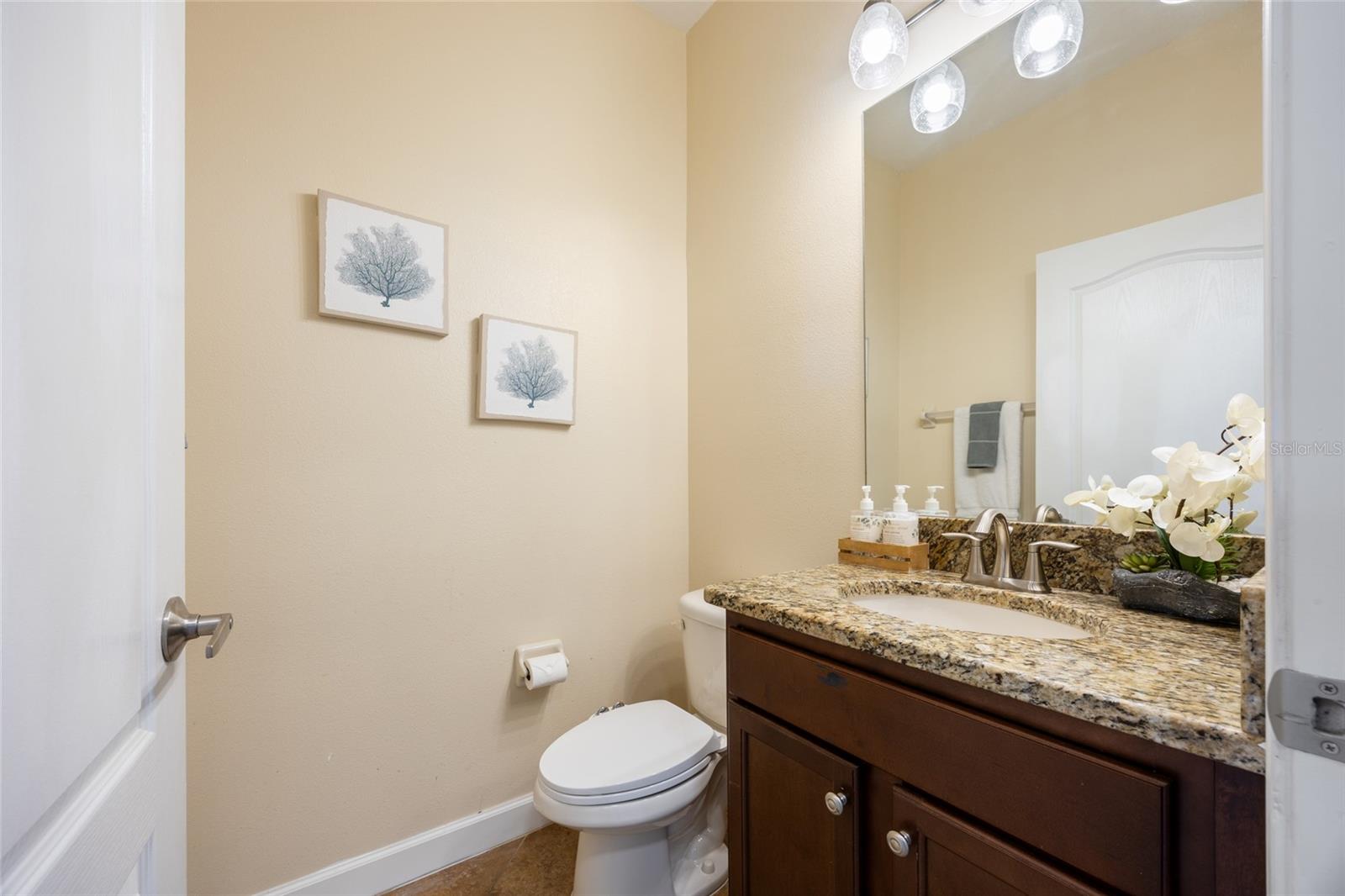 19421 PADDOCK VIEW DR, TAMPA, FL, 33647