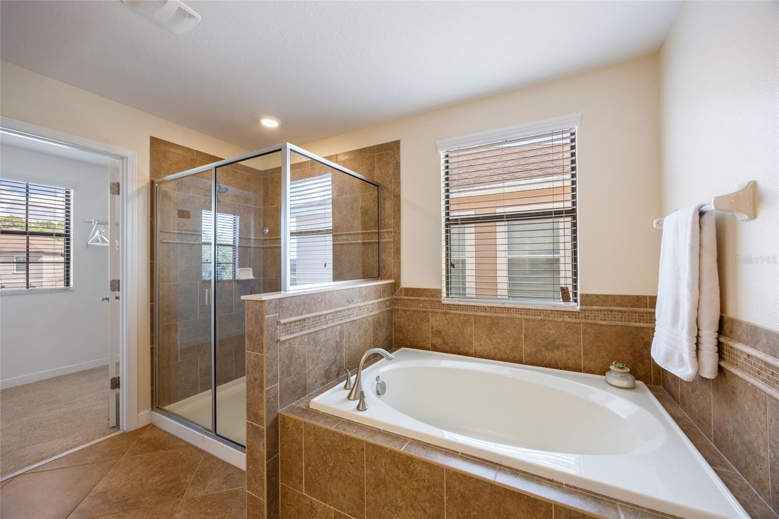 19421 PADDOCK VIEW DR, TAMPA, FL, 33647