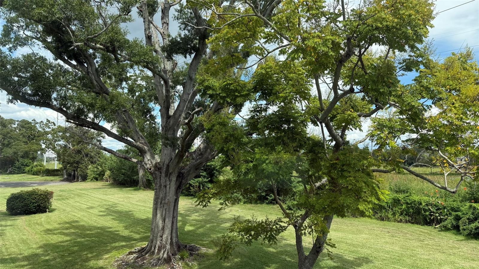 2460 CANADIAN WAY #48, CLEARWATER, FL, 33763