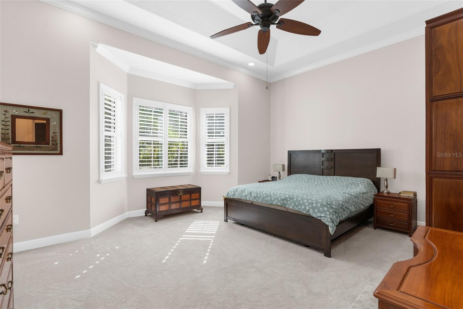 Master suite: Large bedroom with bay window and tray ceiling.