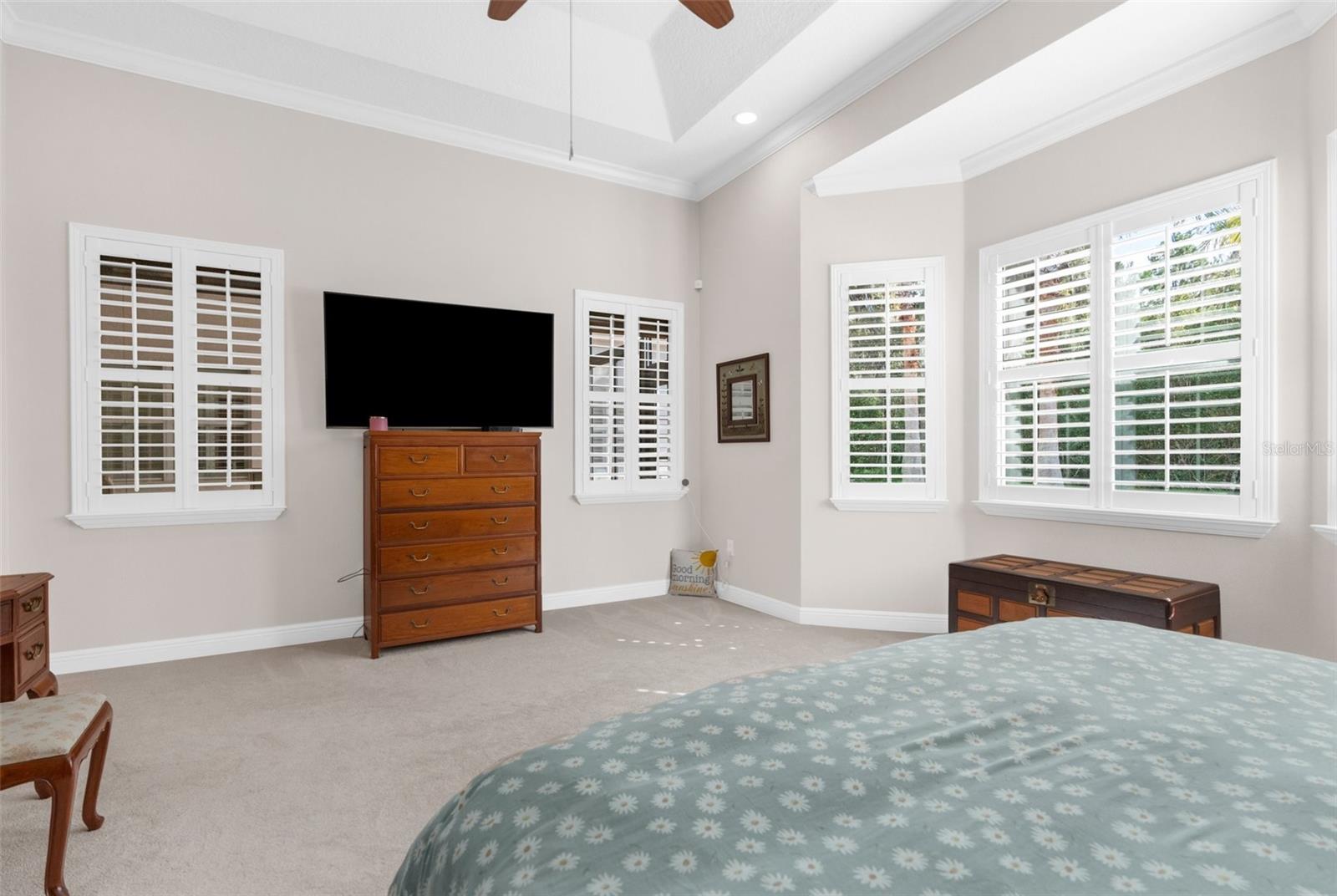 Master suite: Large bedroom with bay window and tray ceiling.