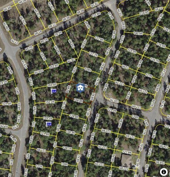 0 FISHER CRSE, OCKLAWAHA, FL, 32179