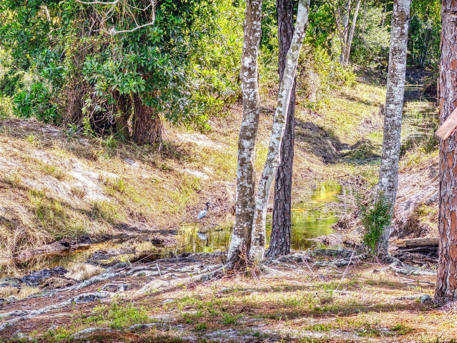 1762 VAN ALLEN CIR, DELTONA, FL, 32738