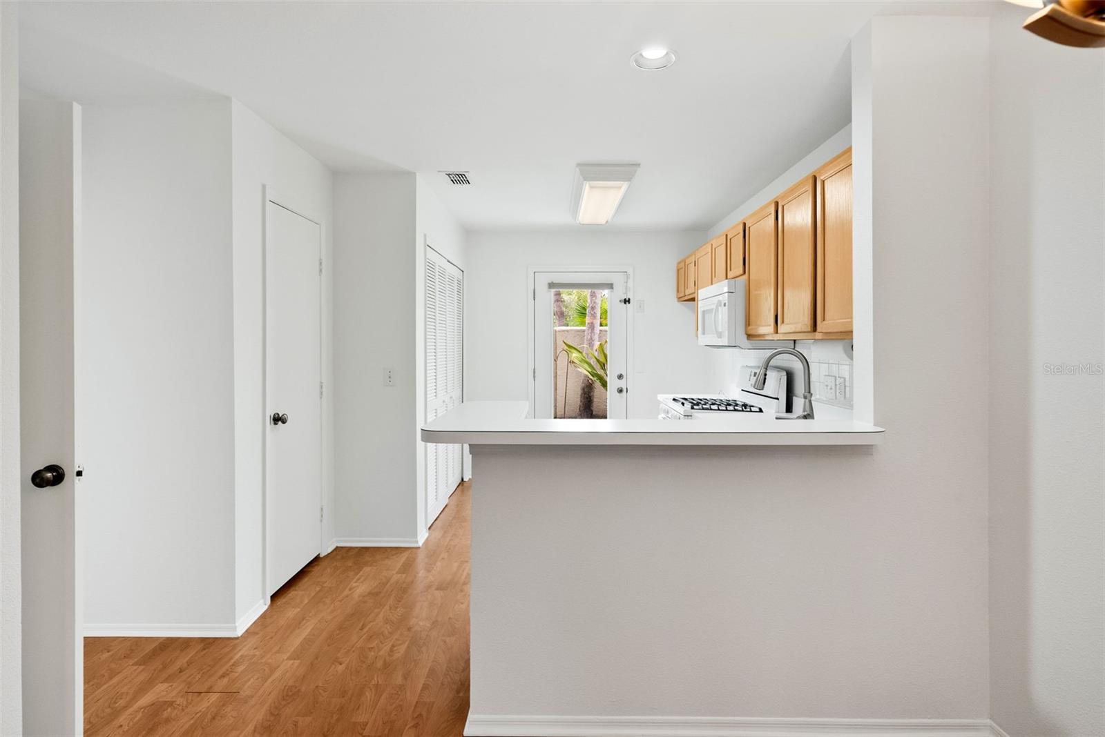 13010 LORNA PL, TAMPA, FL, 33618