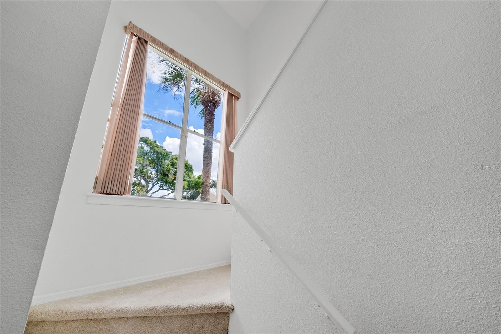 13010 LORNA PL, TAMPA, FL, 33618