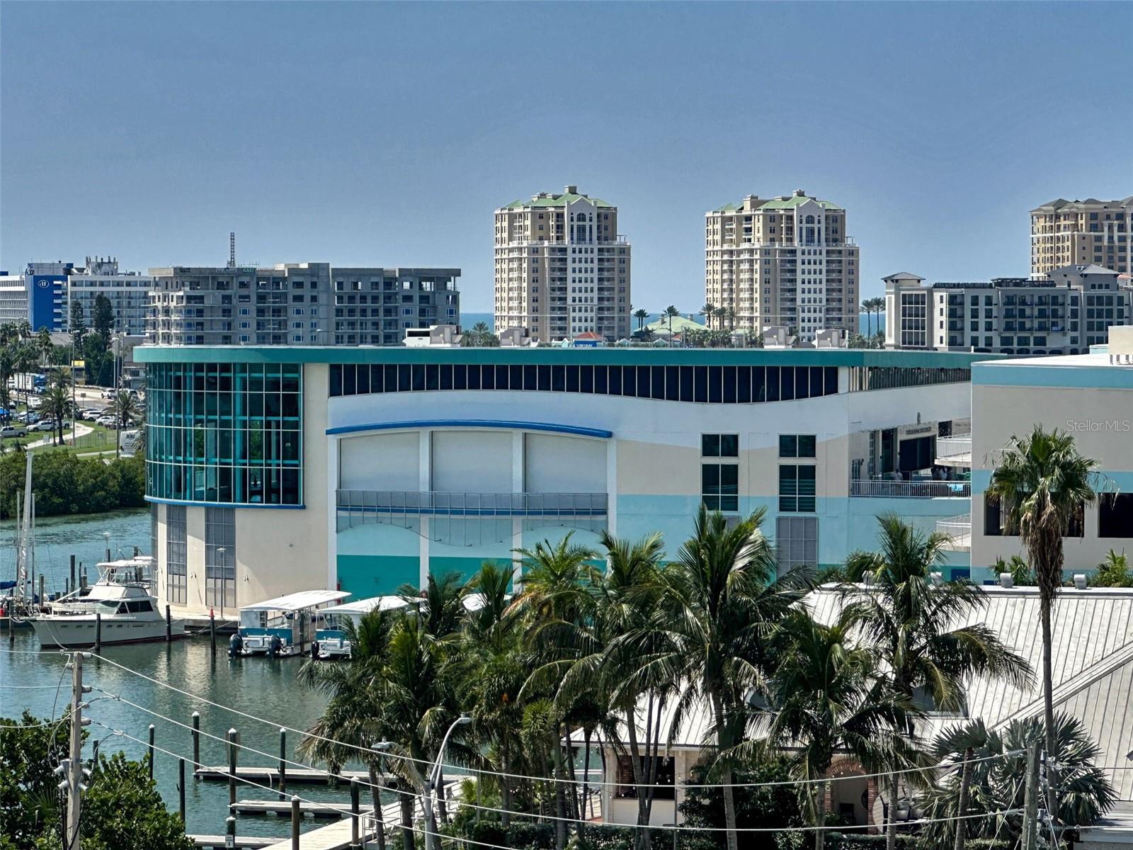 Clearwater Aquarium is just minutes away