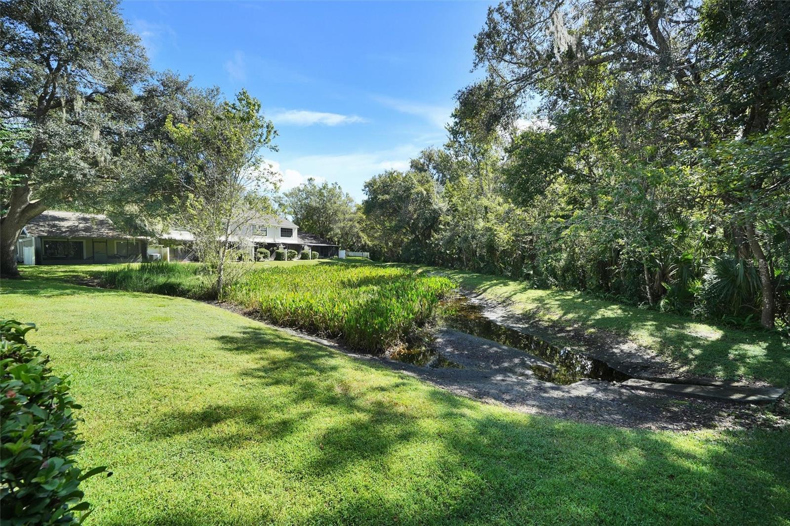 5100 BURCHETTE RD #2306, TAMPA, FL, 33647