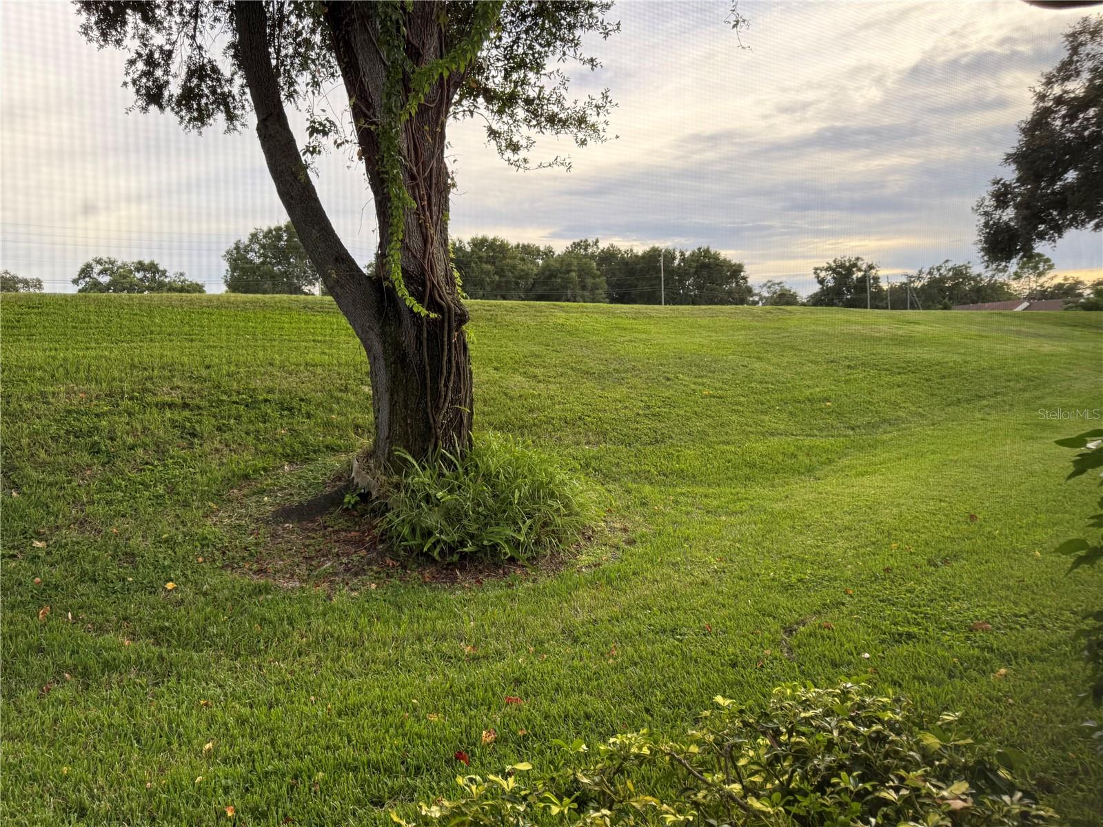 2416 HOUNDS TRL, PALM HARBOR, FL, 34683