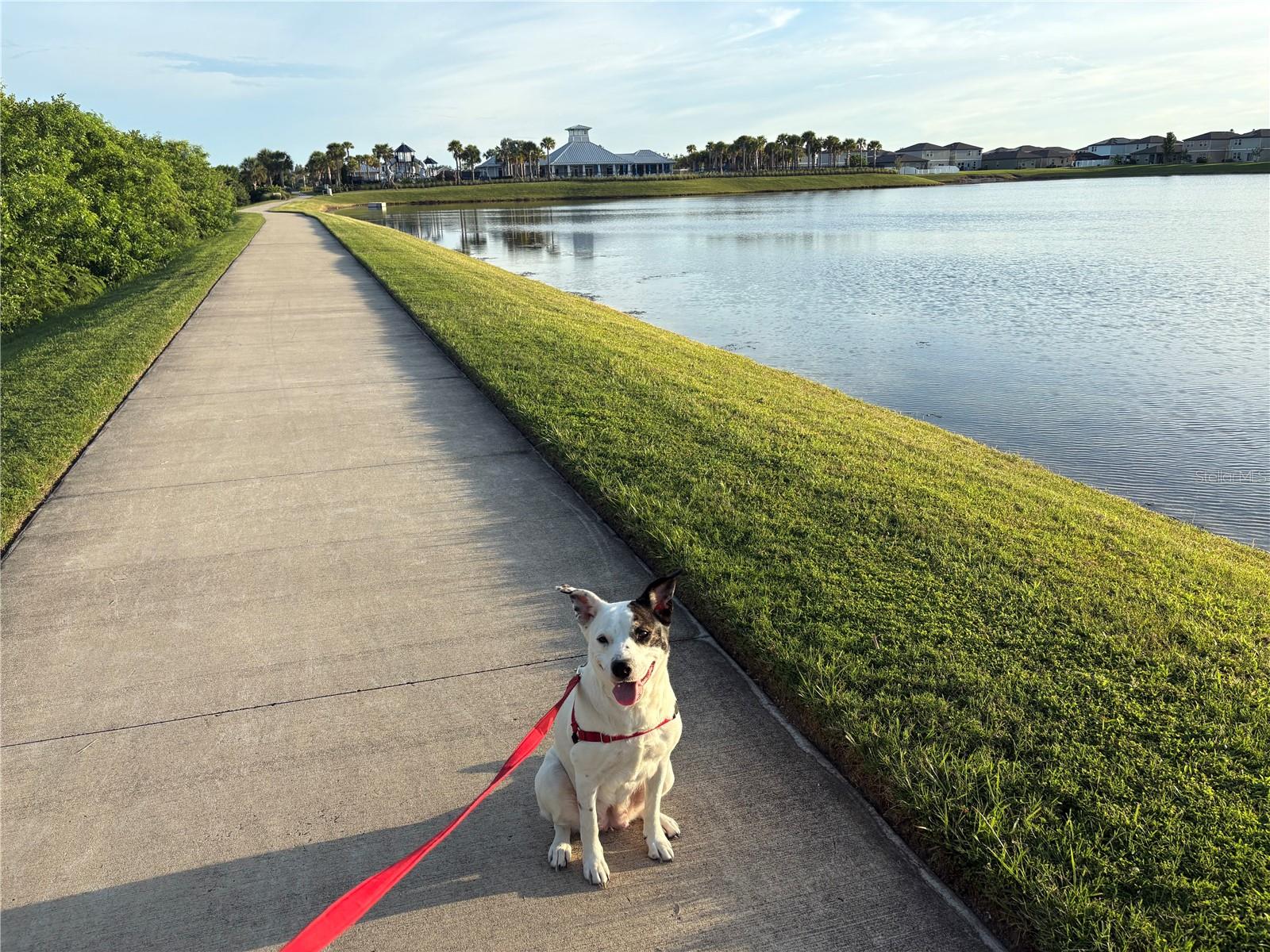 Water Front View & Walking Trail
