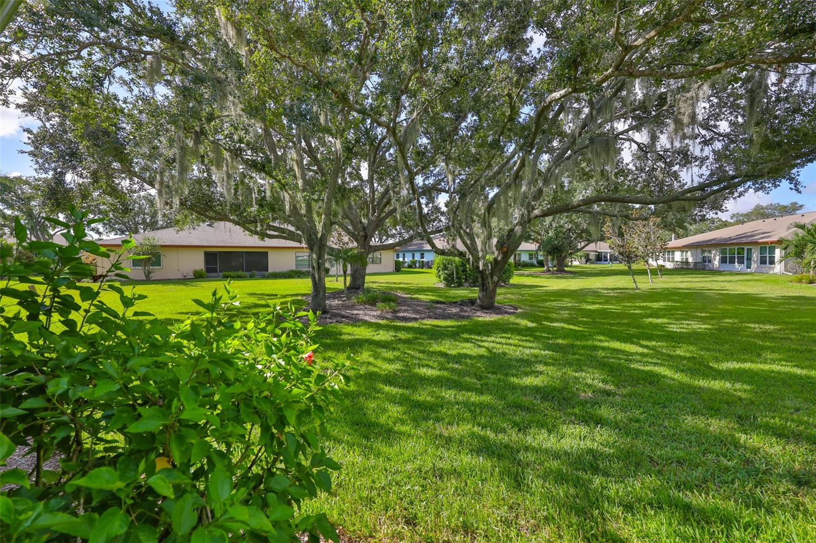 A view to the Large expanse