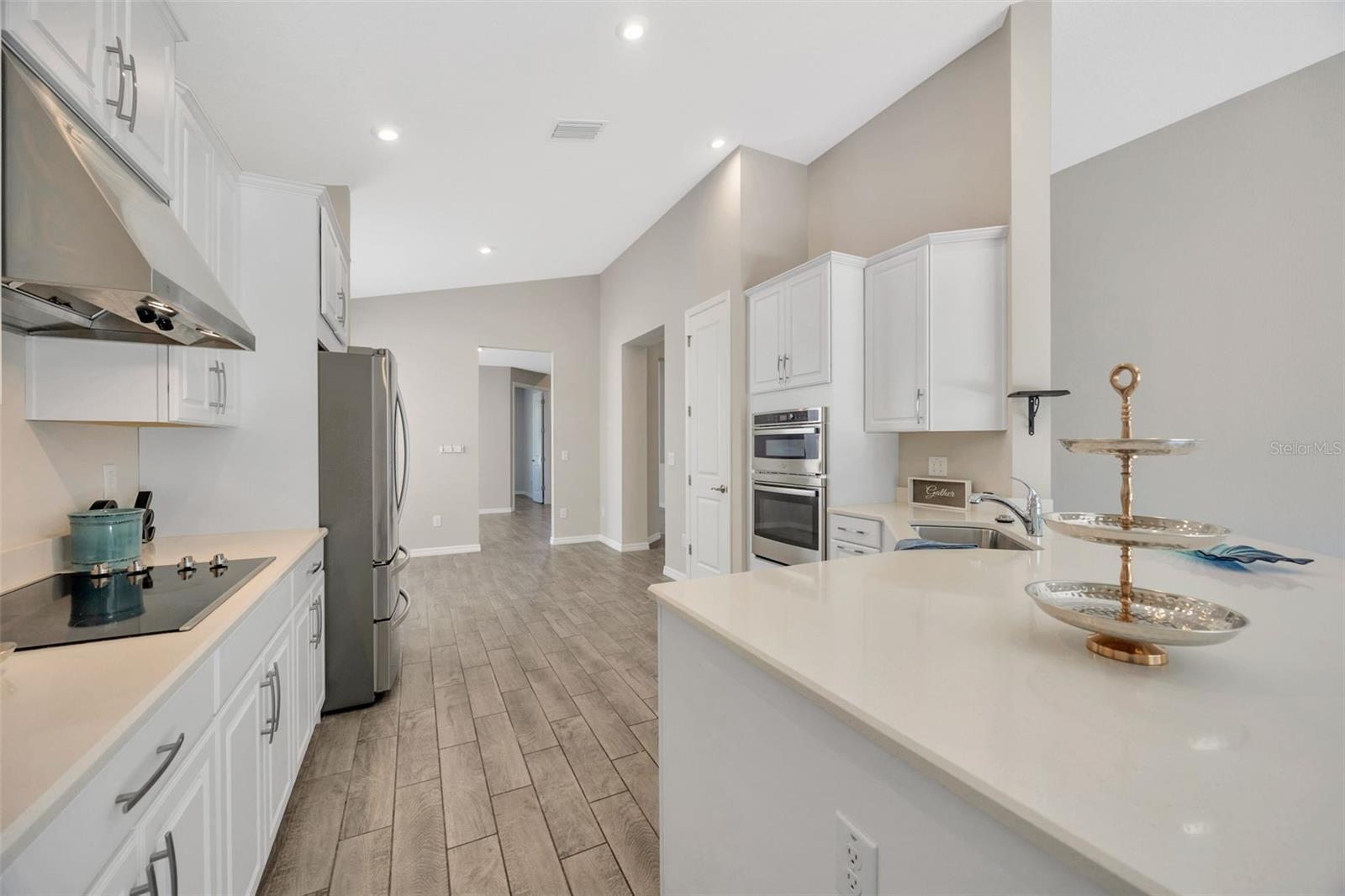 29774 CHAPEL CHASE DR, WESLEY CHAPEL, FL, 33545