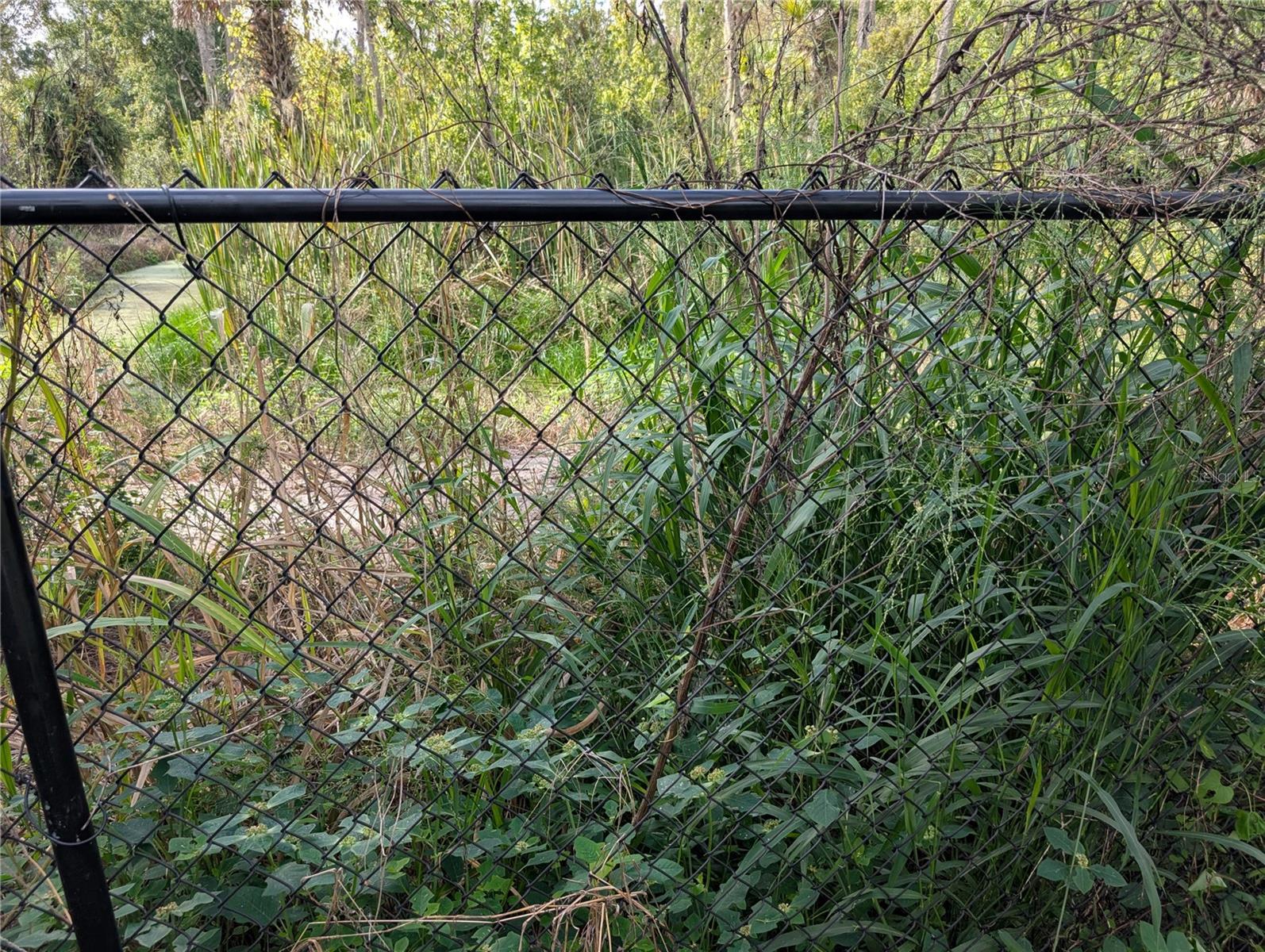 3151 ROOKS RD, DAVENPORT, FL, 33837