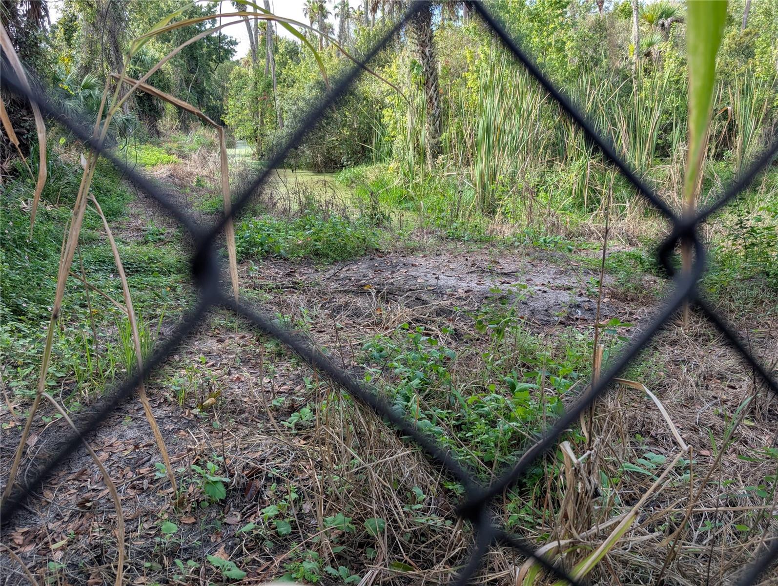 3151 ROOKS RD, DAVENPORT, FL, 33837