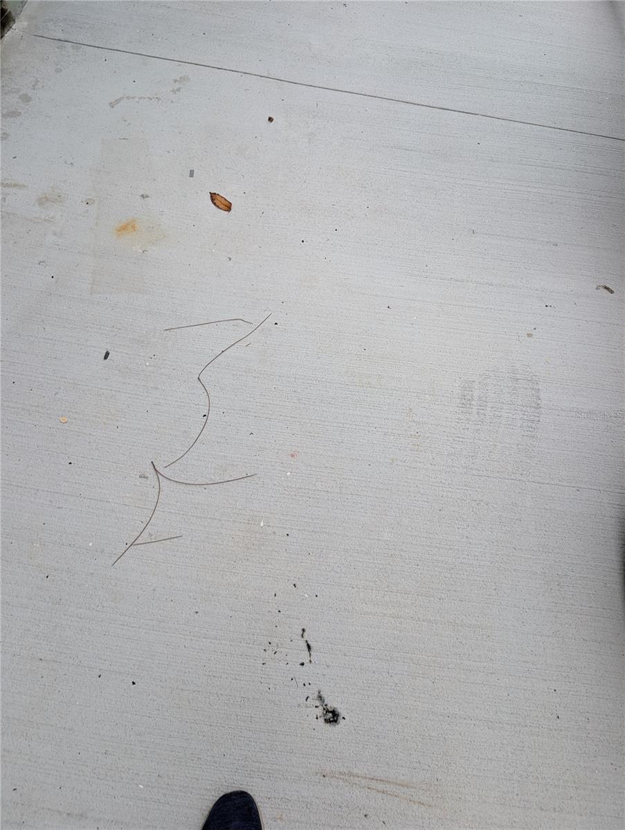 3151 ROOKS RD, DAVENPORT, FL, 33837