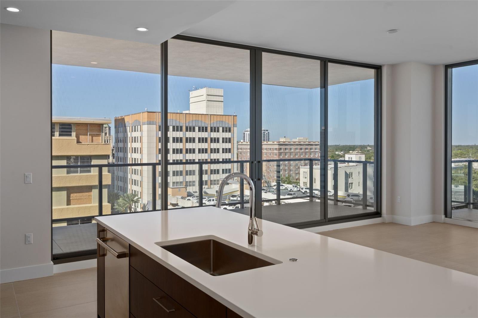 View from Kitchen Towards the Park