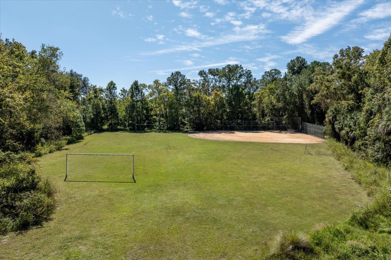 401 MAGNOLIA OAK DR, LONGWOOD, FL, 32779