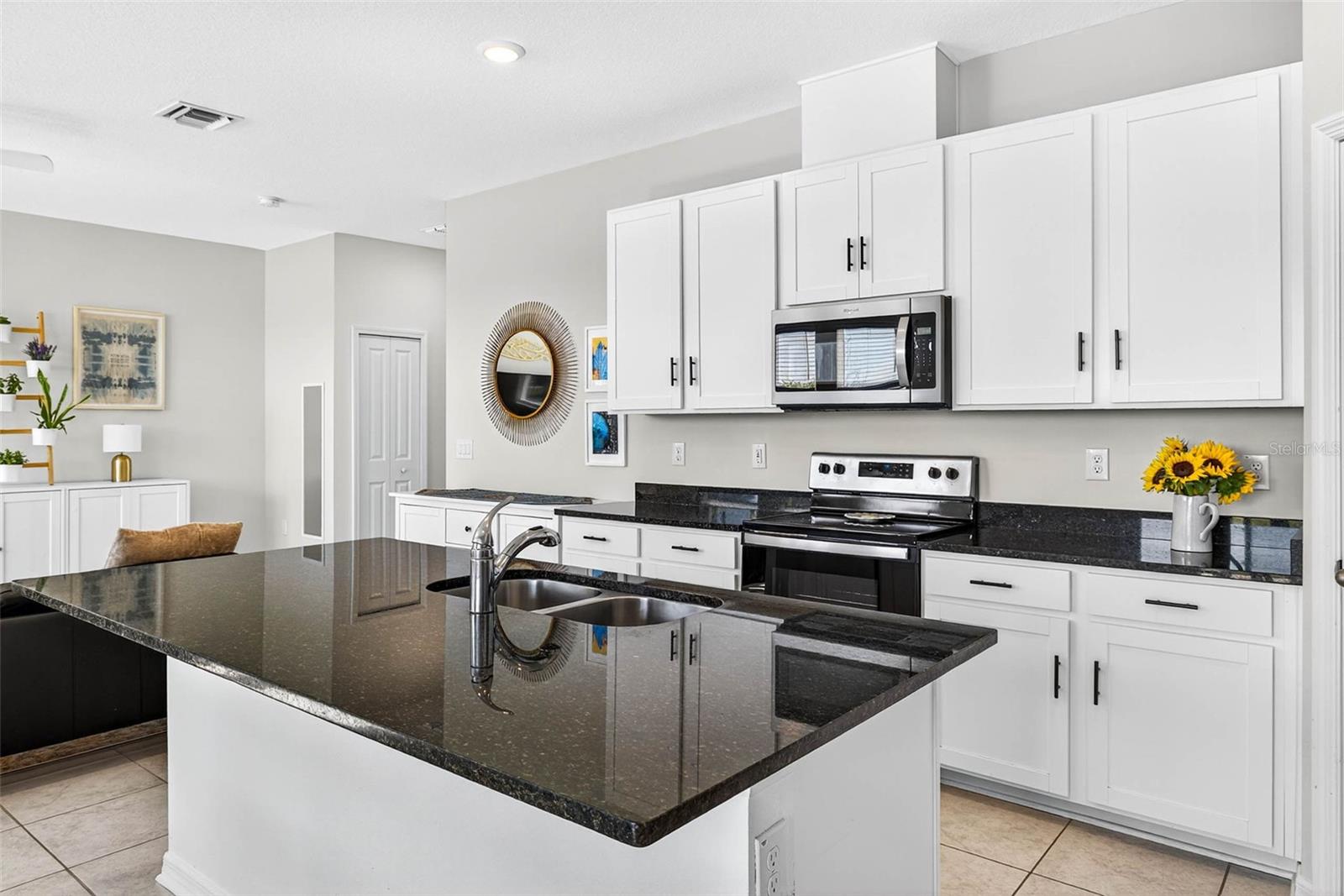 34048 WHITE FOUNTAIN CT, WESLEY CHAPEL, FL, 33545