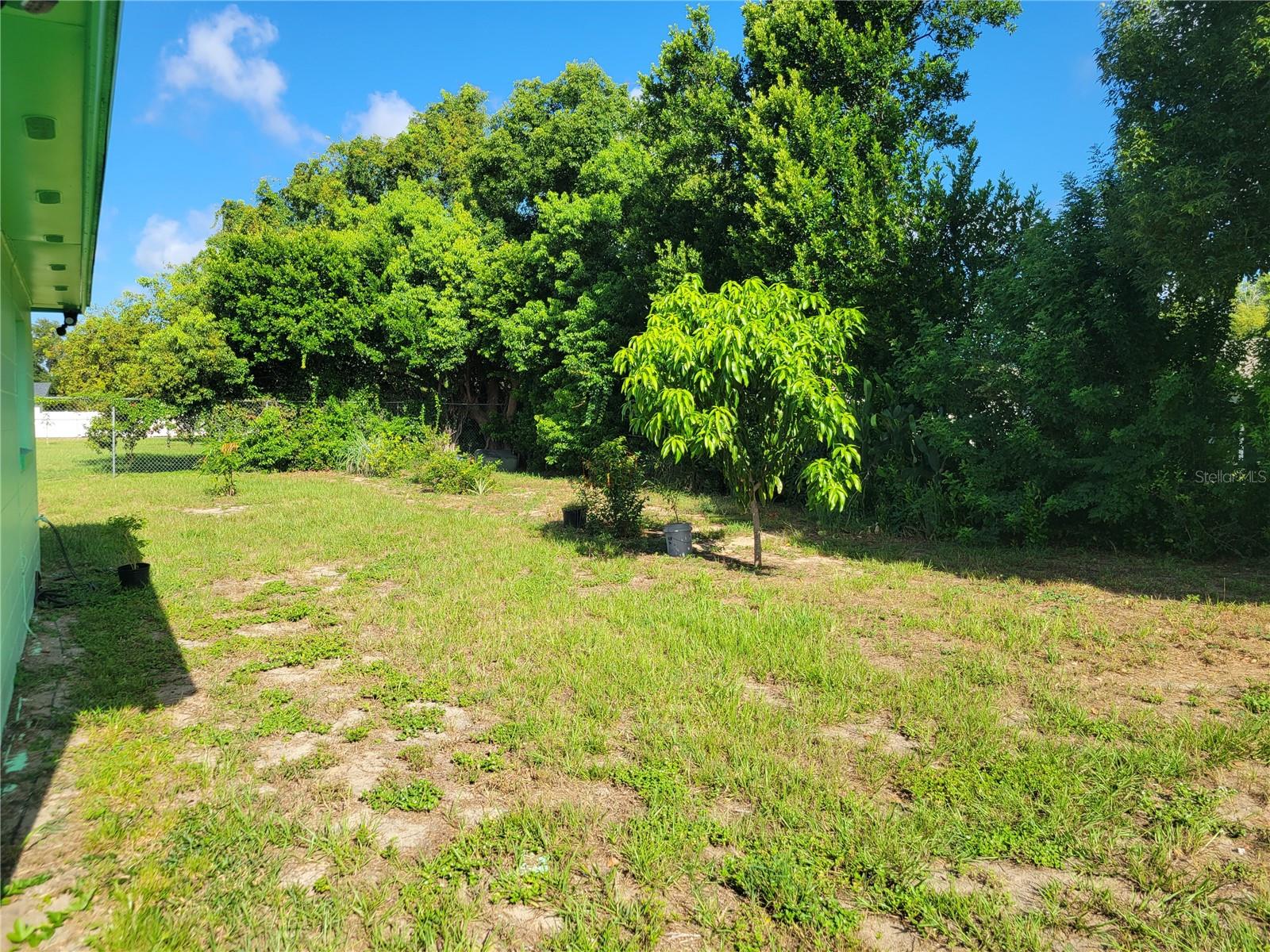 7225 PLANTAIN DR, ORLANDO, FL, 32818