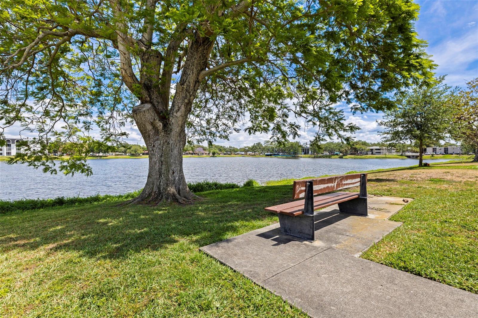 3911 12TH AVE N, ST PETERSBURG, FL, 33713